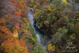 Dairy Photograph 3187 Dairy Photograph 3187