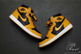 Dairy Photograph 3194 Dairy Photograph 3194