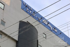 Dairy Photograph 3195 Dairy Photograph 3195