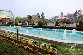 Dairy Photograph 3305