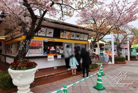 Dairy Photograph 3309