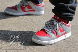 Dairy Photograph 3310