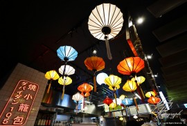 Dairy Photograph 3348 Dairy Photograph 3348