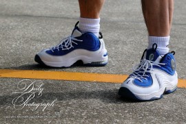 Dairy Photograph 3406 Dairy Photograph 3406