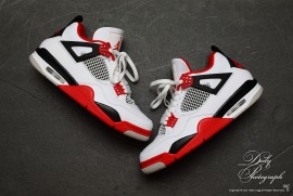 Dairy Photograph 3408 Dairy Photograph 3408