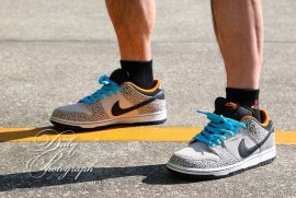 Dairy Photograph 3411 Dairy Photograph 3411