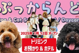 【ぷっからんど】秋田市飯島に出来た ワンちゃん ネコちゃんOK トリミング＆ホテル完備のペットサロン