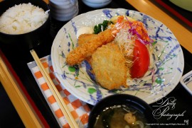 Dairy Photograph 3428