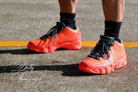 Dairy Photograph 3444 Dairy Photograph 3444