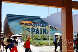 Dairy Photograph 3453 Dairy Photograph 3453