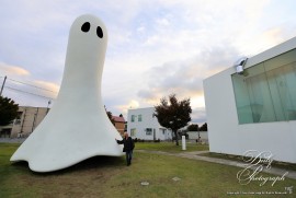 Dairy Photograph 3513 Dairy Photograph 3513