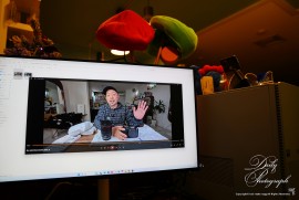 Dairy Photograph 3531