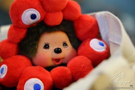 Dairy Photograph 3533