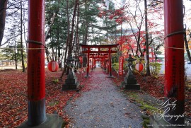 Dairy Photograph 3534