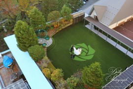 Dairy Photograph 3538