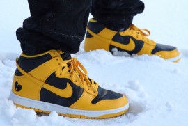 Dairy Photograph 3542