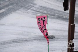 Dairy Photograph 3547