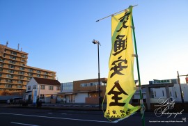 Dairy Photograph 3552