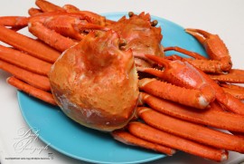 Dairy Photograph 3559