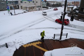 Dairy Photograph 3574