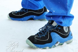 Dairy Photograph 3578