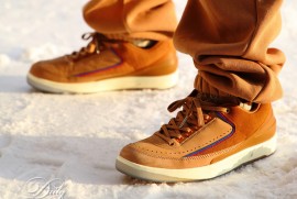 Dairy Photograph 3579