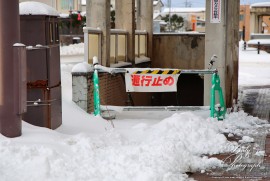 Dairy Photograph 3580