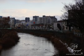 Dairy Photograph 3601